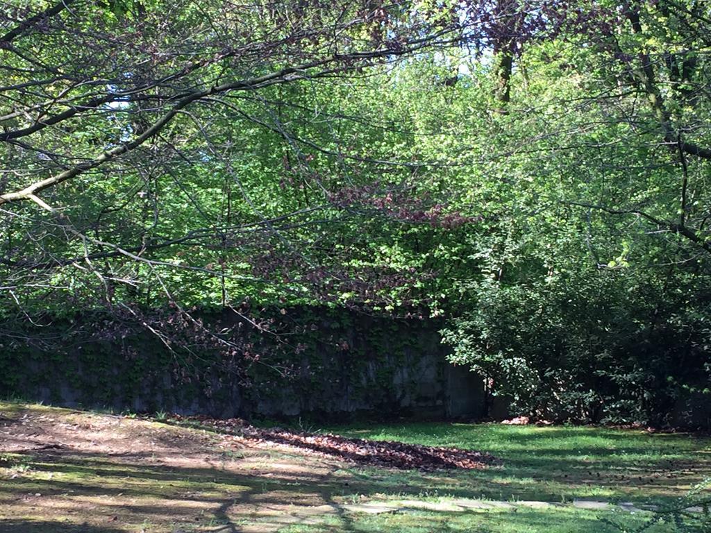 Bed and Breakfast Bed&Garden Cesate Exterior foto